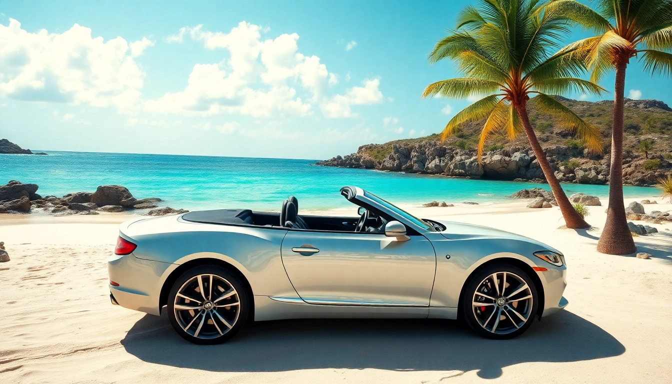 Enjoy the best car rental saint barth with a scenic background of beautiful beaches and palm trees.