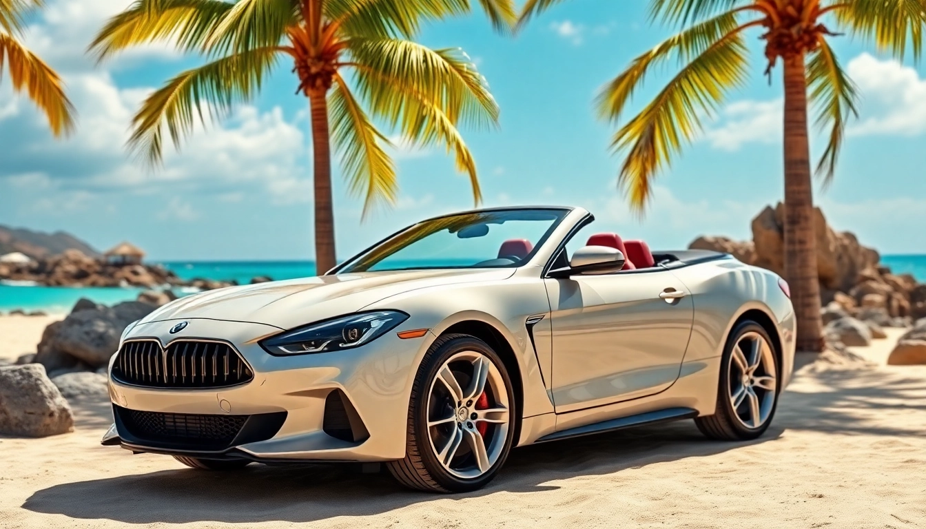 Top Choices for Best Car Rental Saint Barth for Your Ideal Vacation